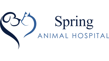 spring animal hospital