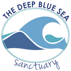 the deep blue sea sanctuary