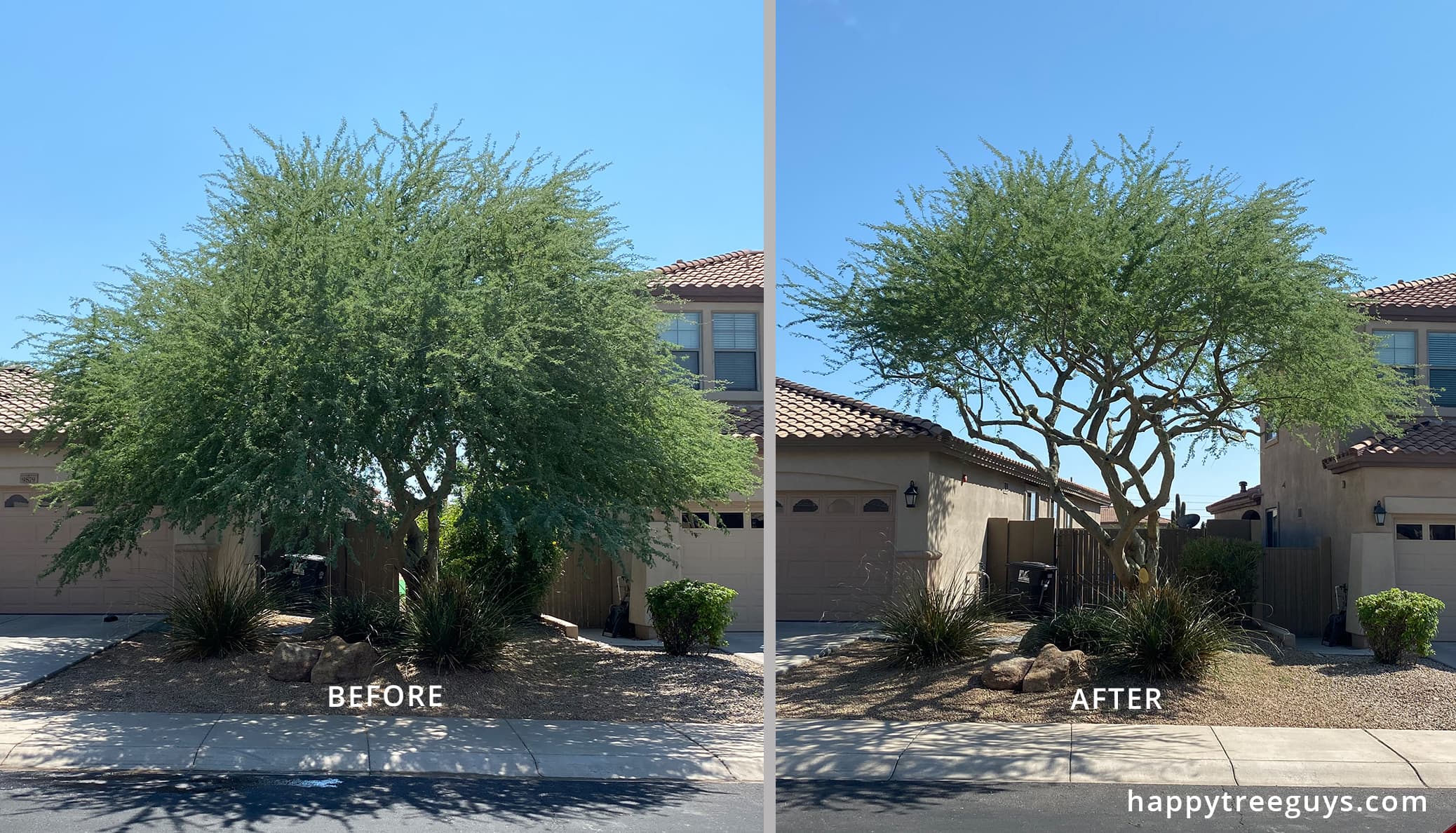 Happy Tree Guys - Trimming and Removal - Scottsdale, AZ, US, stump grinding