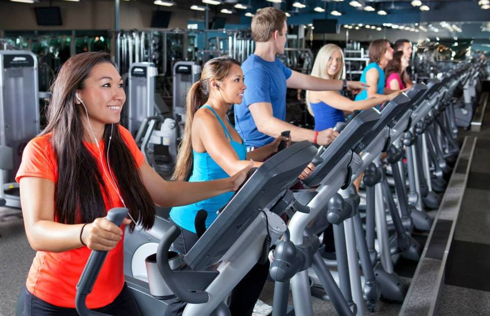 Fitness 19 - Menifee (CA 92584), US, upper body workout for women