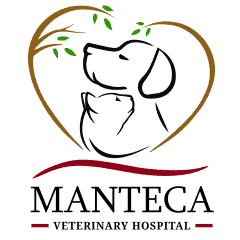 manteca veterinary hospital