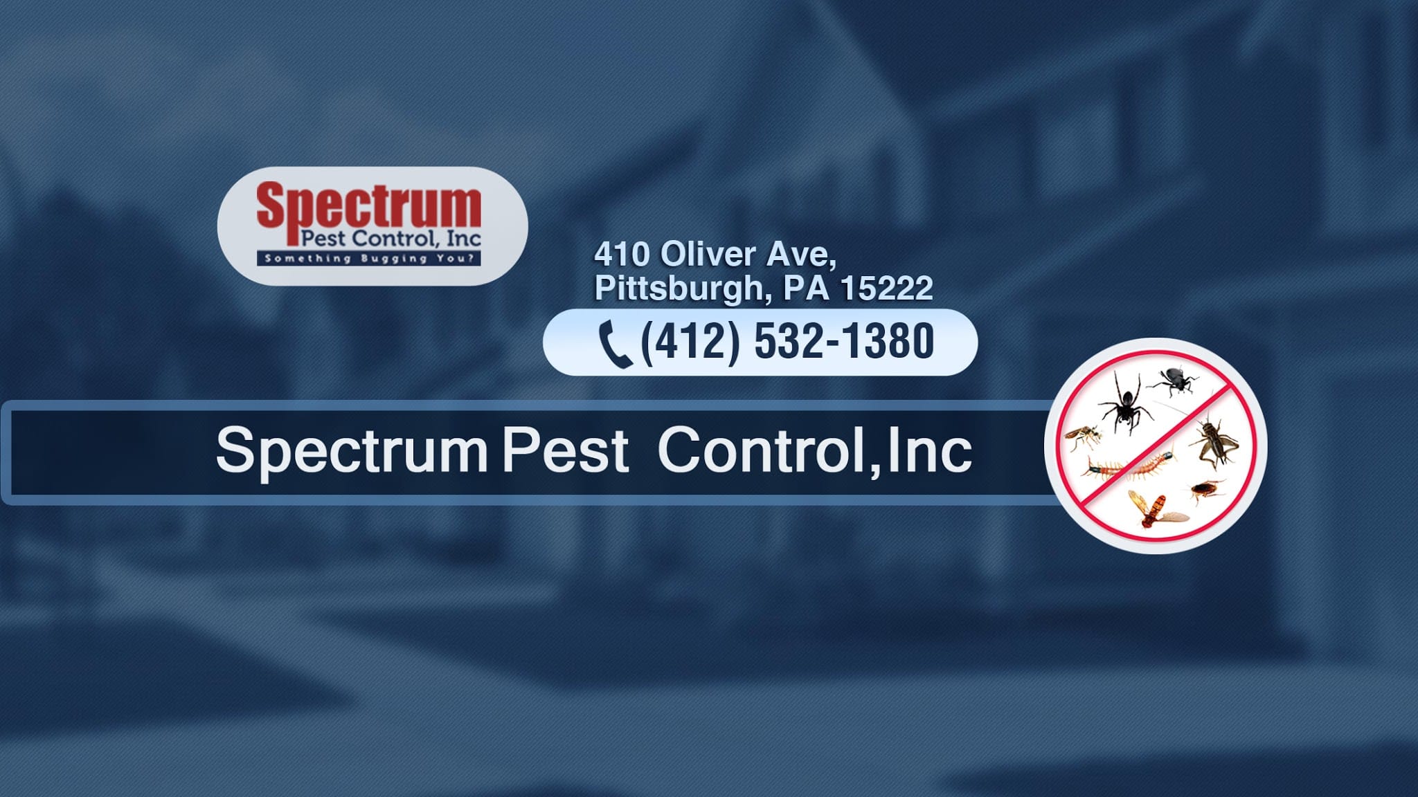 Spectrum Pest Control - Pittsburgh (PA 15219), US, rat exterminator