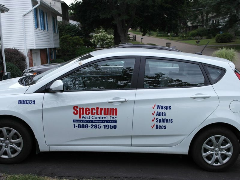 Spectrum Pest Control - Pittsburgh (PA 15219), US, wildlife removal