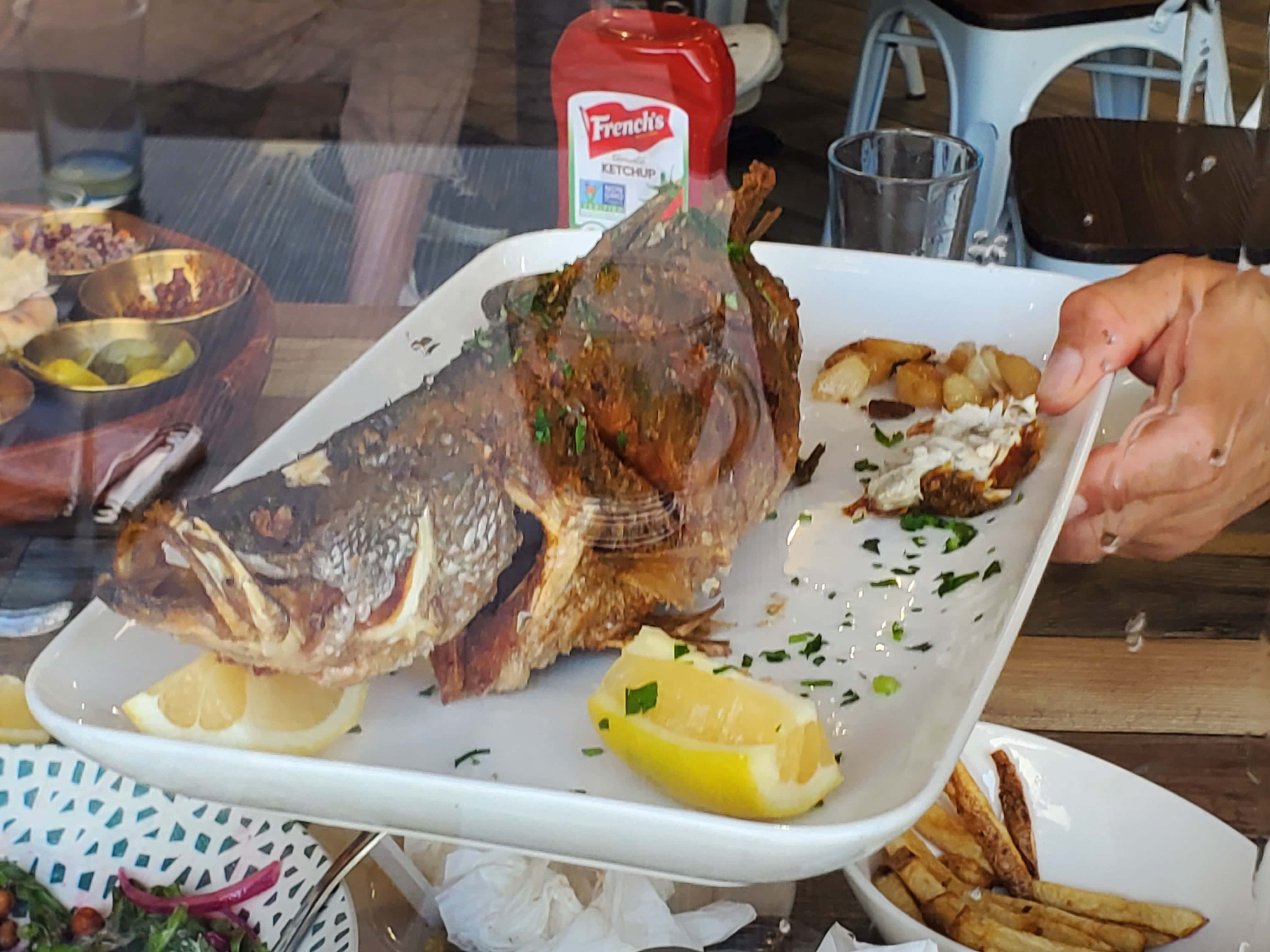 Tel Aviv Fish Grill - Tarzana, CA, US, all you can eat near me