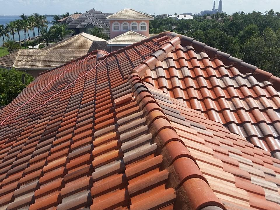 Apple Roof Cleaning Tampa Florida - Brandon, FL, US, roof tarping