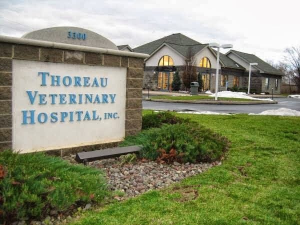 Thoreau Veterinary Hospital, Inc. - Easton, PA, US, vets near me