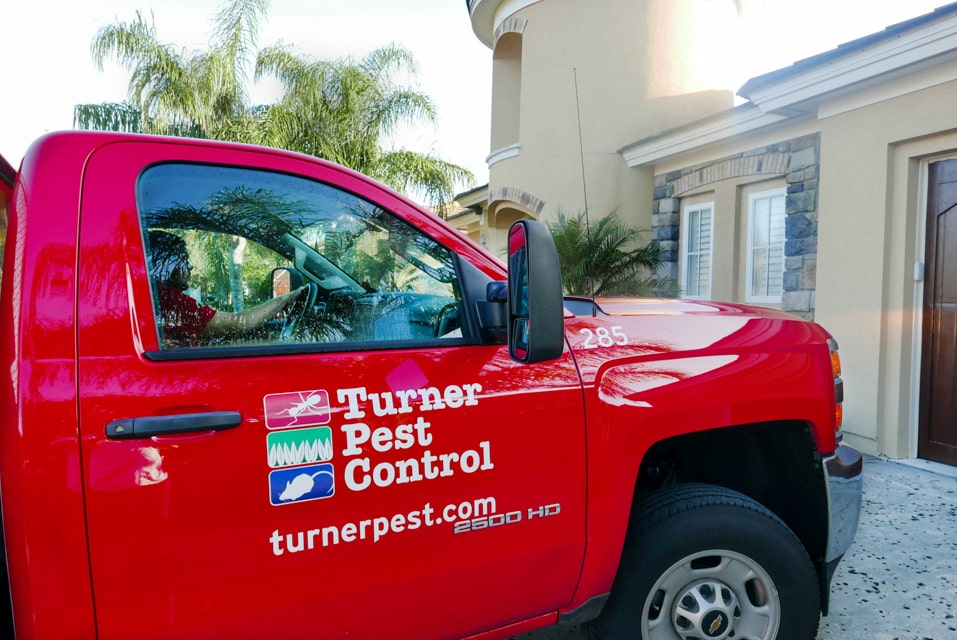 Turner Pest Control - Gulfport (FL 33707), US, ant control