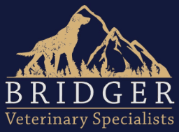 bridger veterinary specialists