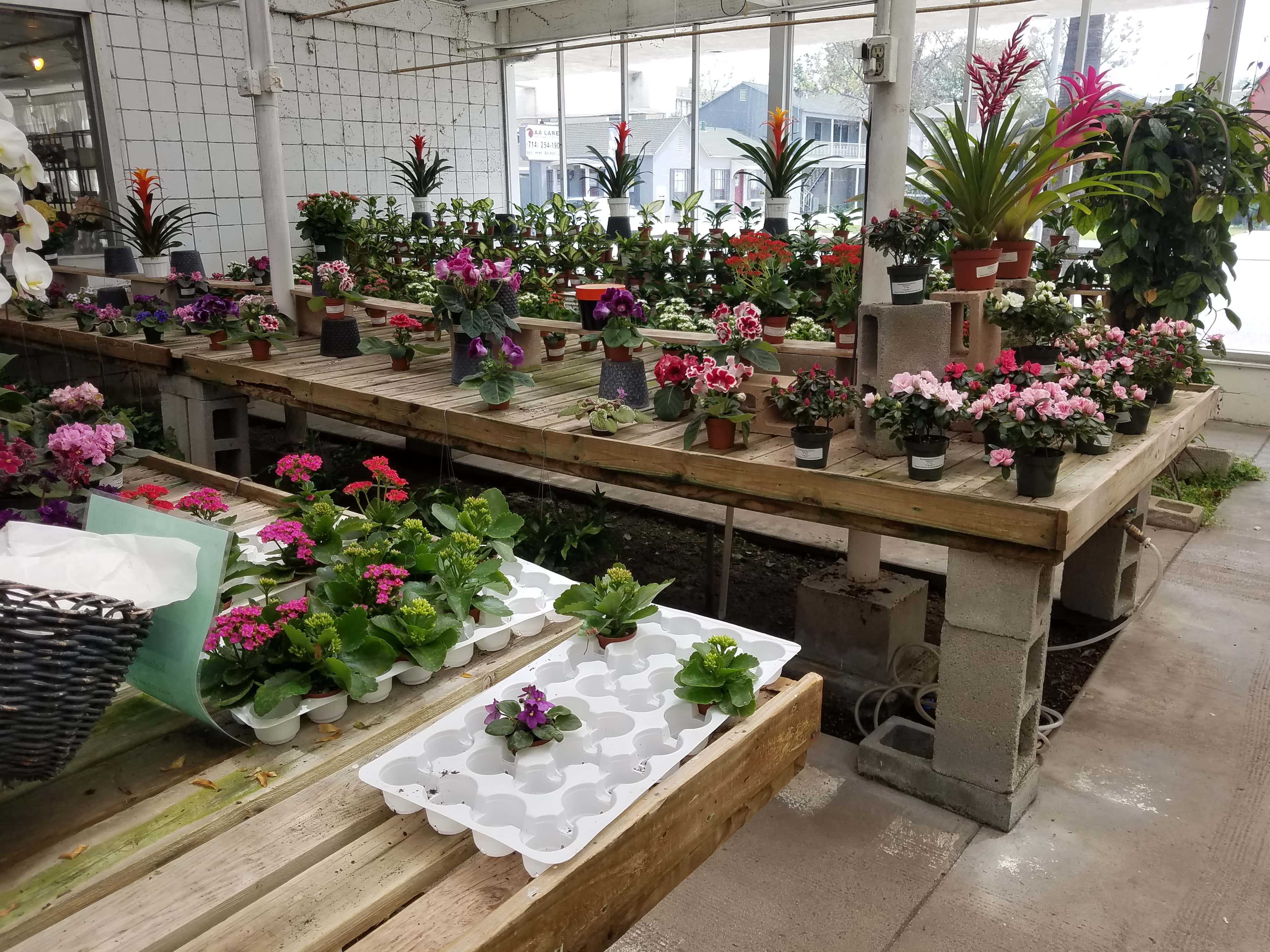 Visser's Florist & Greenhouses - Anaheim, CA, US, summer wedding flowers