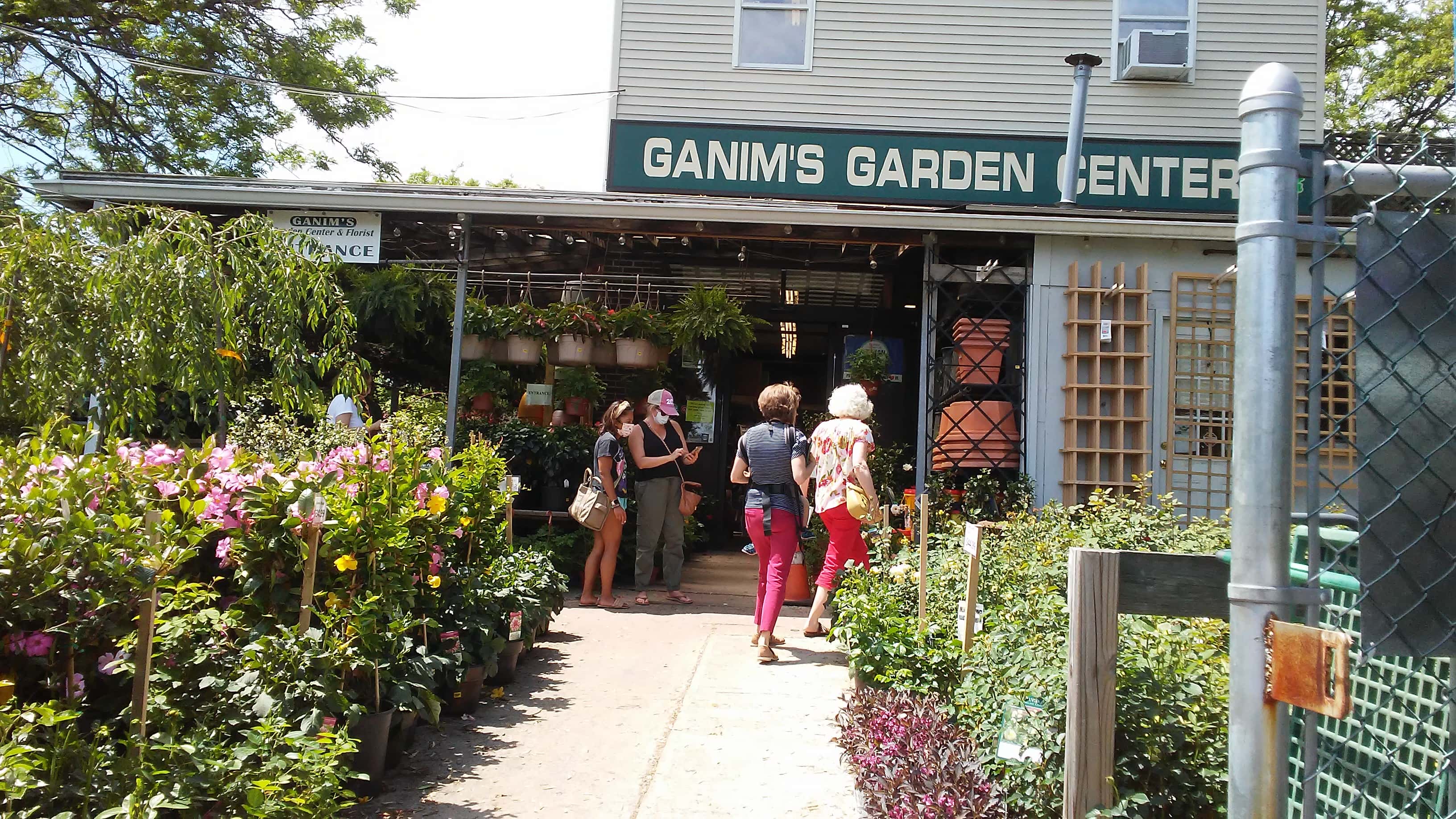Ganim's Garden Center and Florist, LLC - Fairfield, CT, US, flowers today