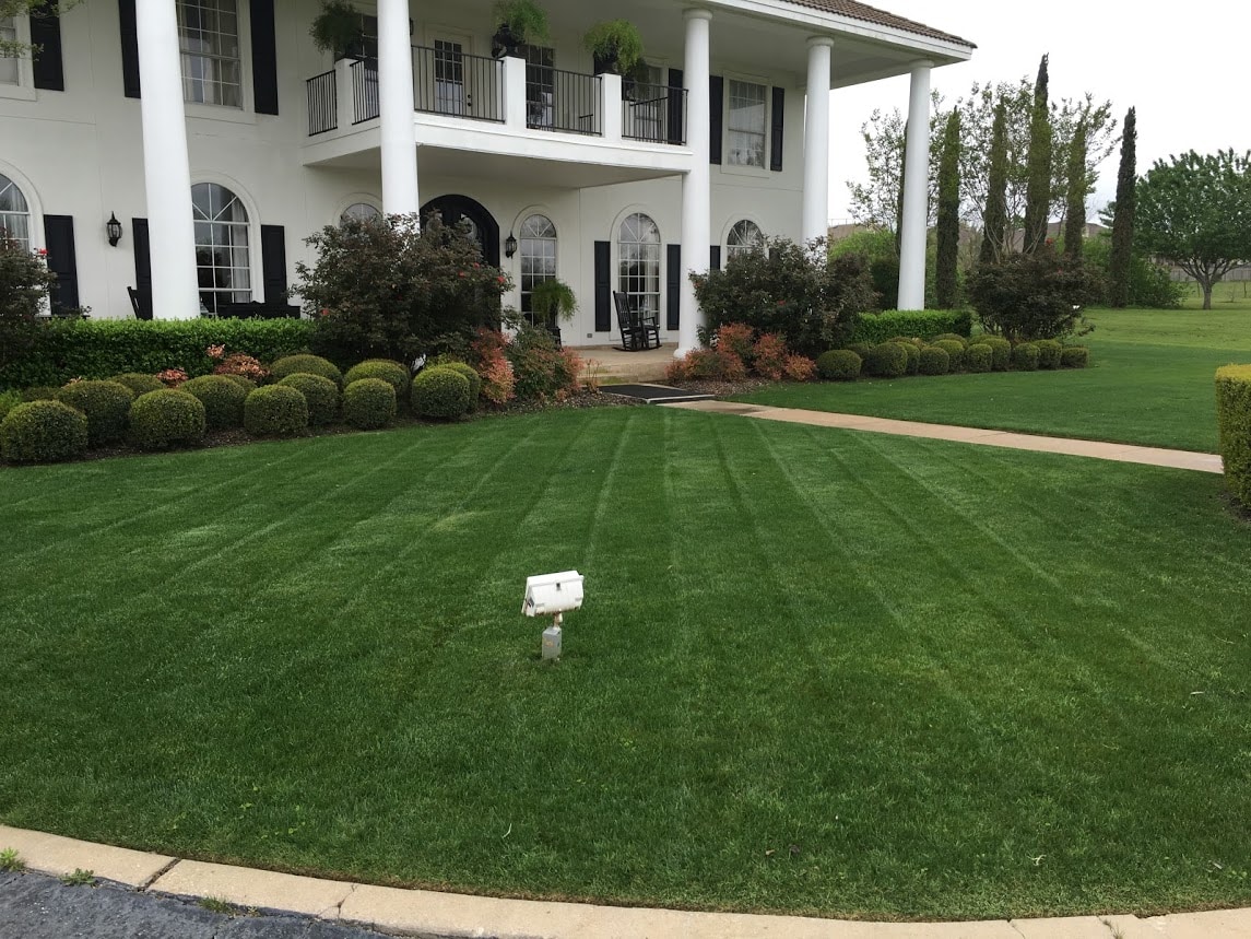 Douglas Landscapes LLC - Liberty Hill, TX, US, lawn care