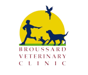 broussard veterinary clinic