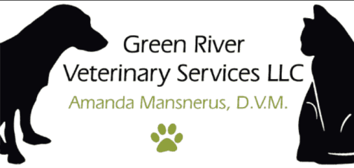 green river veterinary services llc