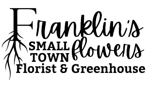 franklin's small town flowers