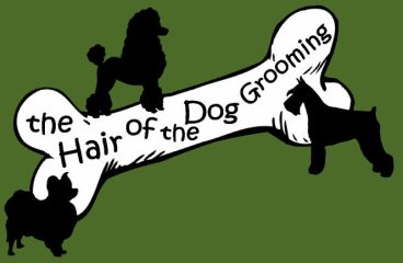 hair of the dog - st. petersburg (fl 33702)