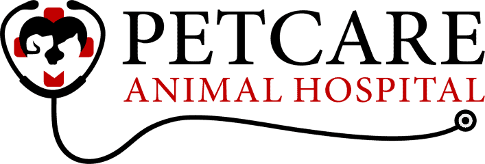 pet care animal hospital