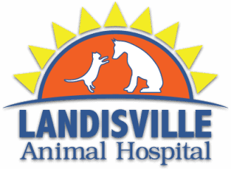 landisville animal hospital