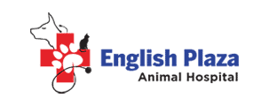 english plaza animal hospital
