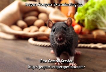 jeepers creepers exterminating inc | pest control service in covina, ca