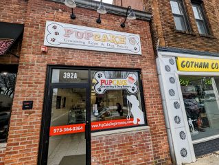 pupcake grooming & dog bakery