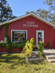 lois' flower shop