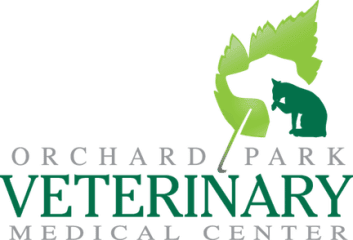orchard park veterinary medical center