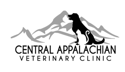 central appalachian veterinary clinic