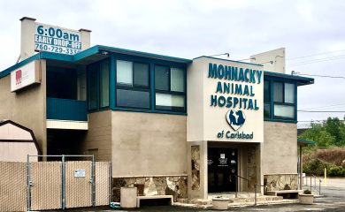 mohnacky animal hospitals of carlsbad