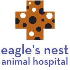 eagle's nest animal hospital
