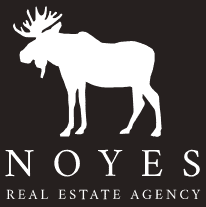 noyes real estate