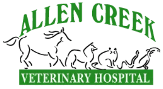 allen creek veterinary hospital