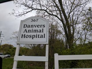 danvers animal hospital