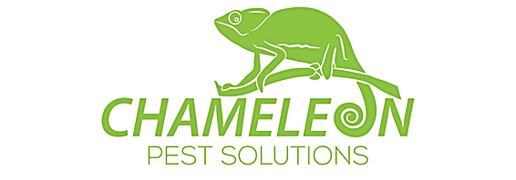 chameleon pest solutions