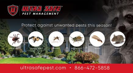 ultra safe pest management - north andover (ma 01845)