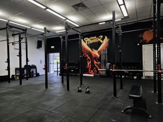 iron phoenix fitness