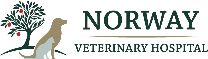 naples veterinary clinic