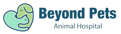 beyond pets animal hospital