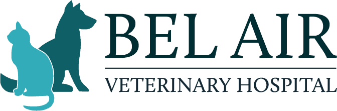 bel air veterinary hospital