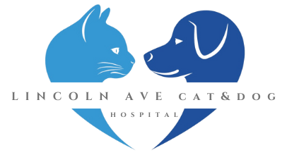 lincoln avenue cat hospital